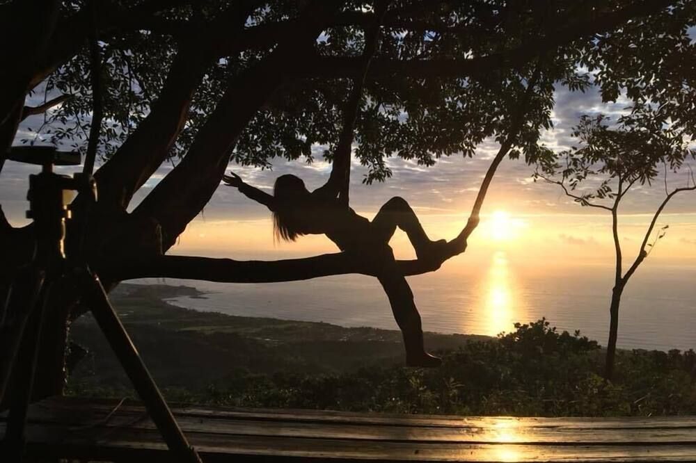 المظهر الخارجي