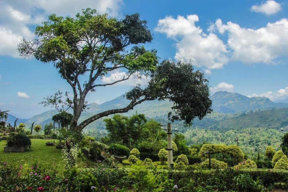 المظهر الخارجي