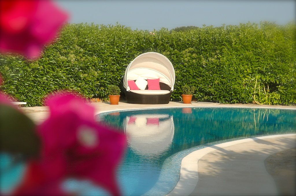 حوض السباحة