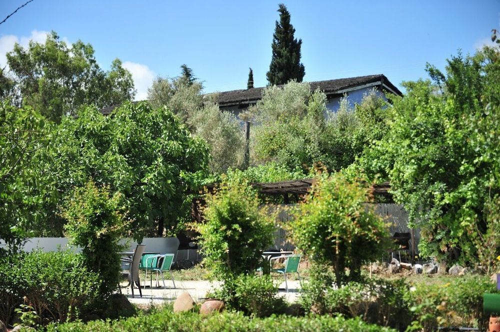 المظهر الخارجي