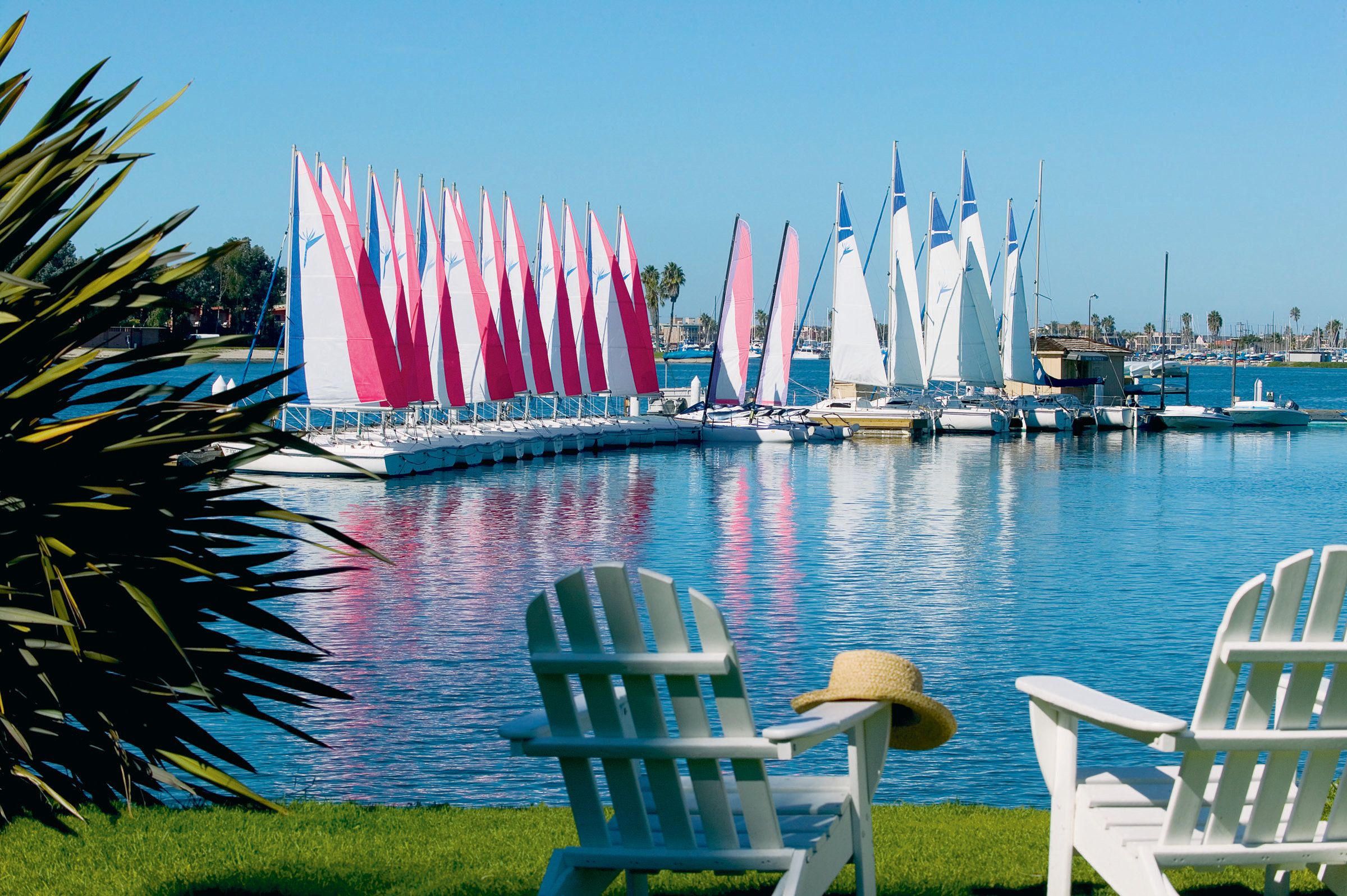 المظهر الخارجي