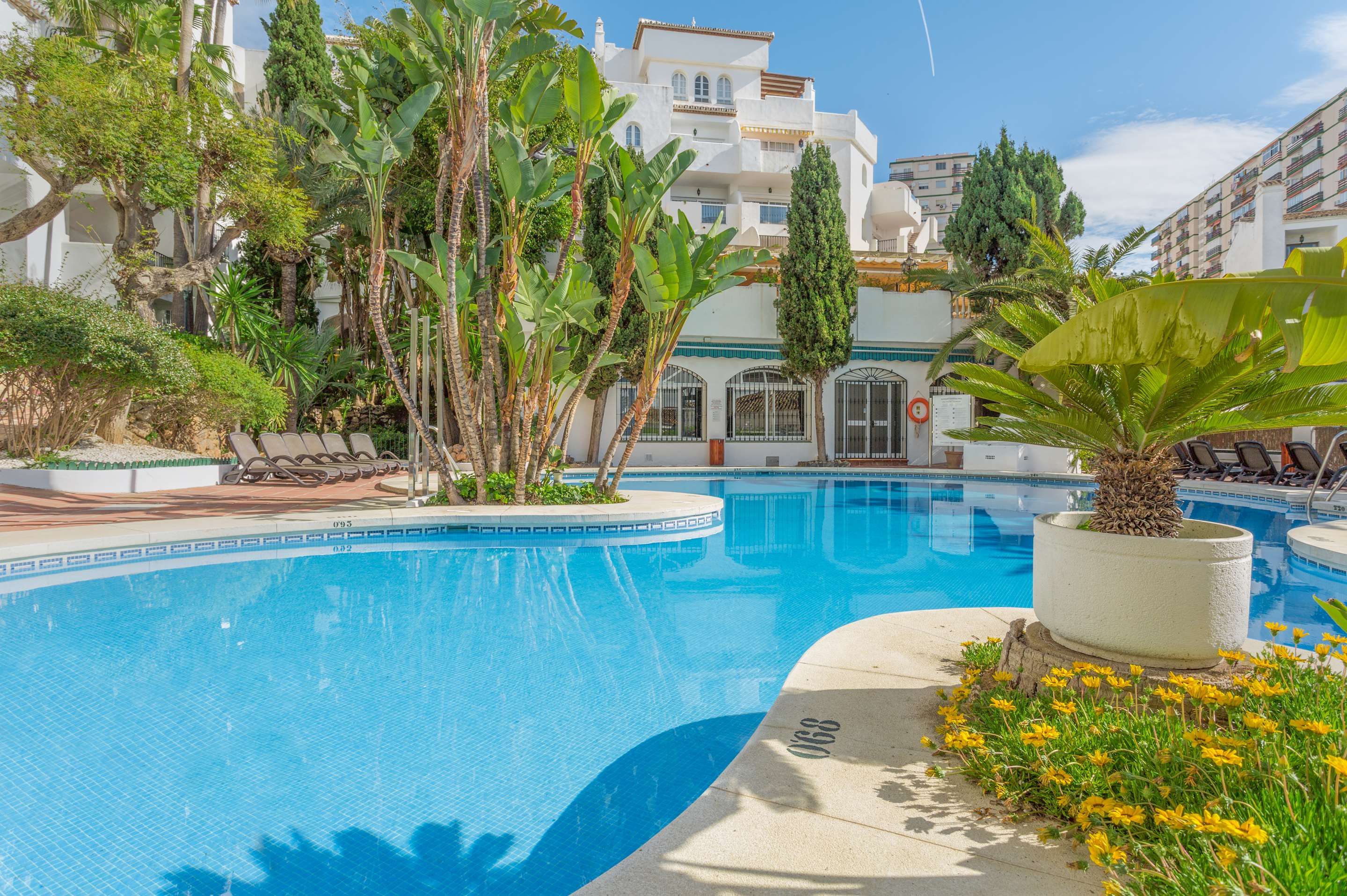 حوض السباحة