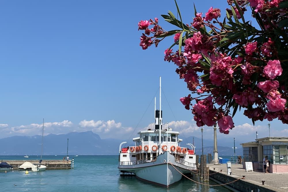 المظهر الخارجي