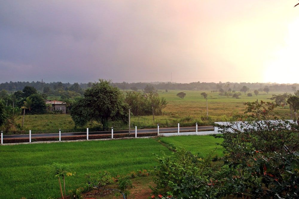 المظهر الخارجي