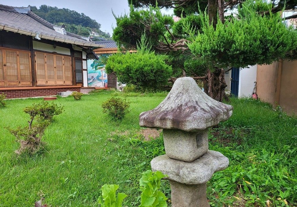 المظهر الخارجي