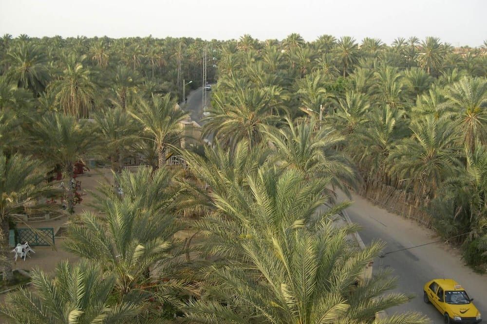 المظهر الخارجي