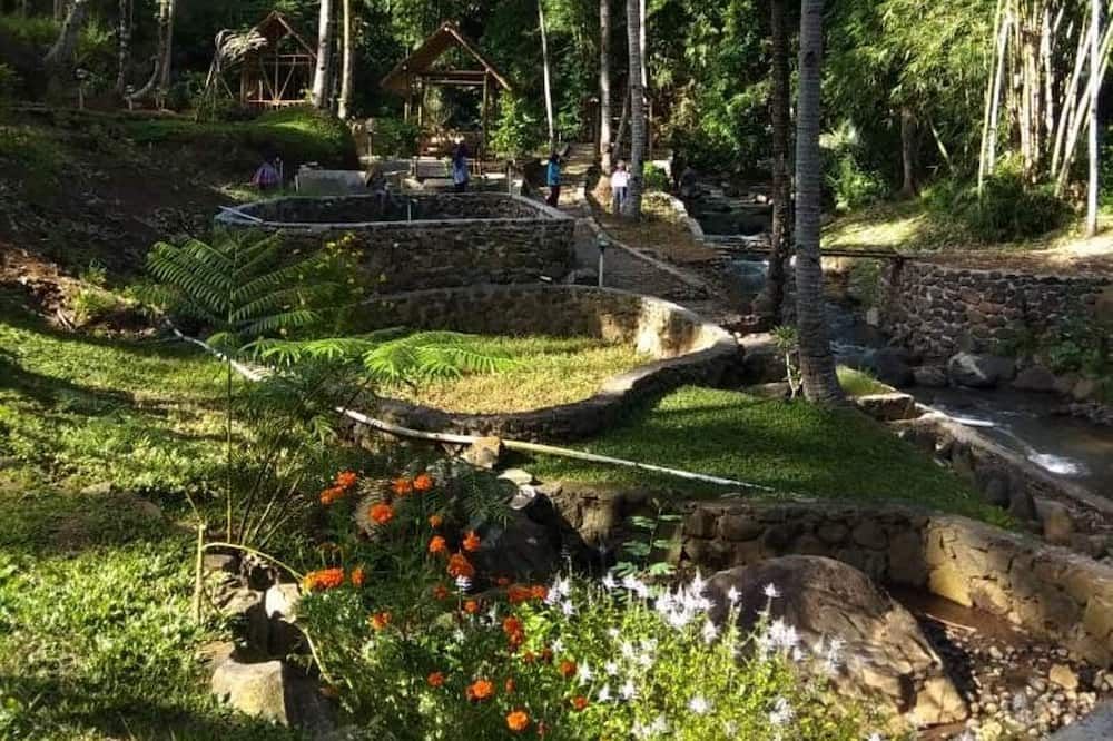 المظهر الخارجي