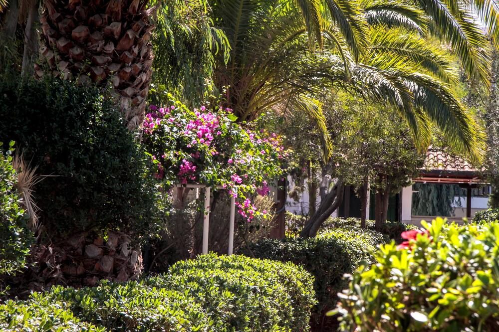 المظهر الخارجي