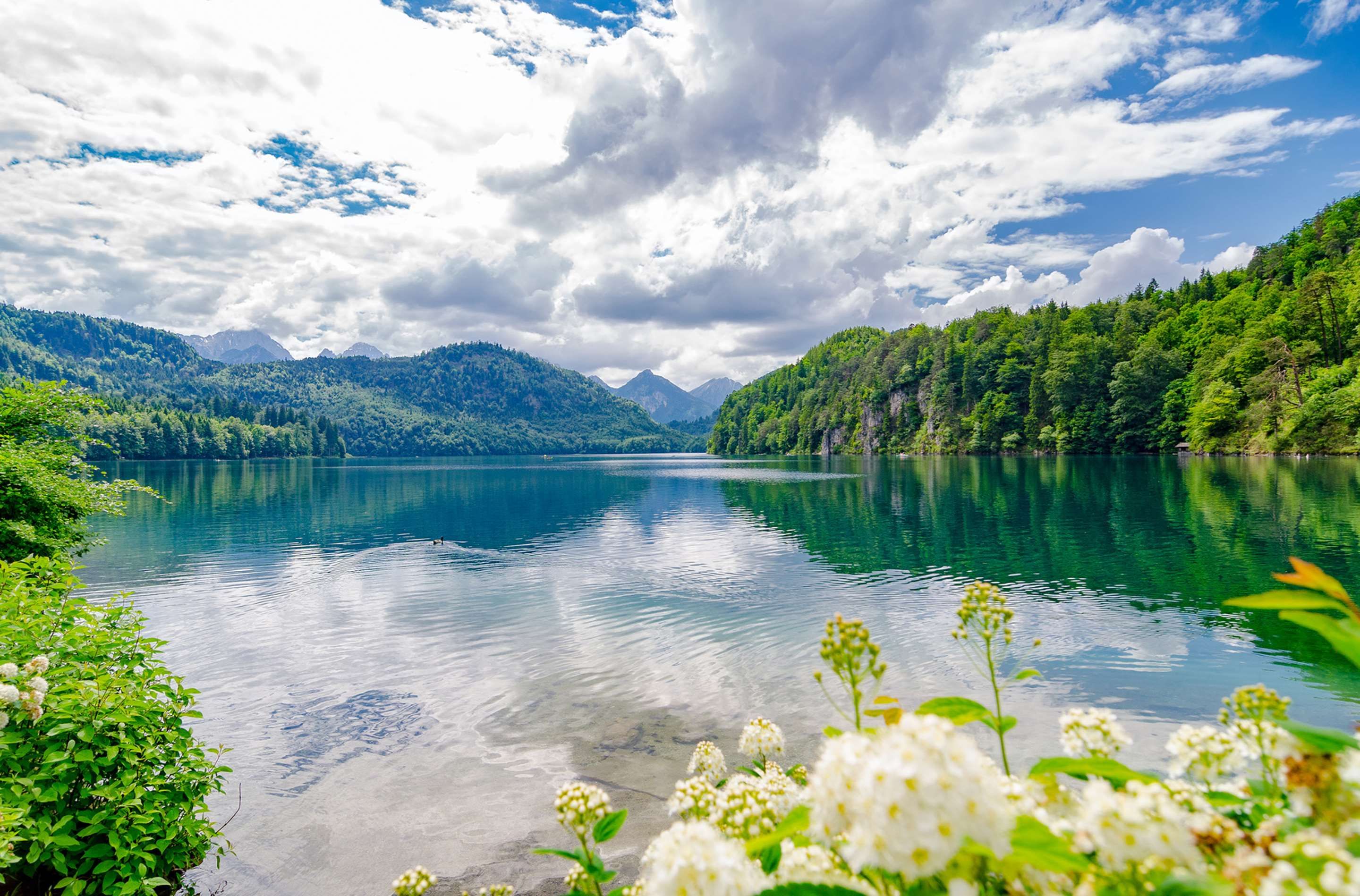 المظهر الخارجي