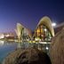 حوض السباحة