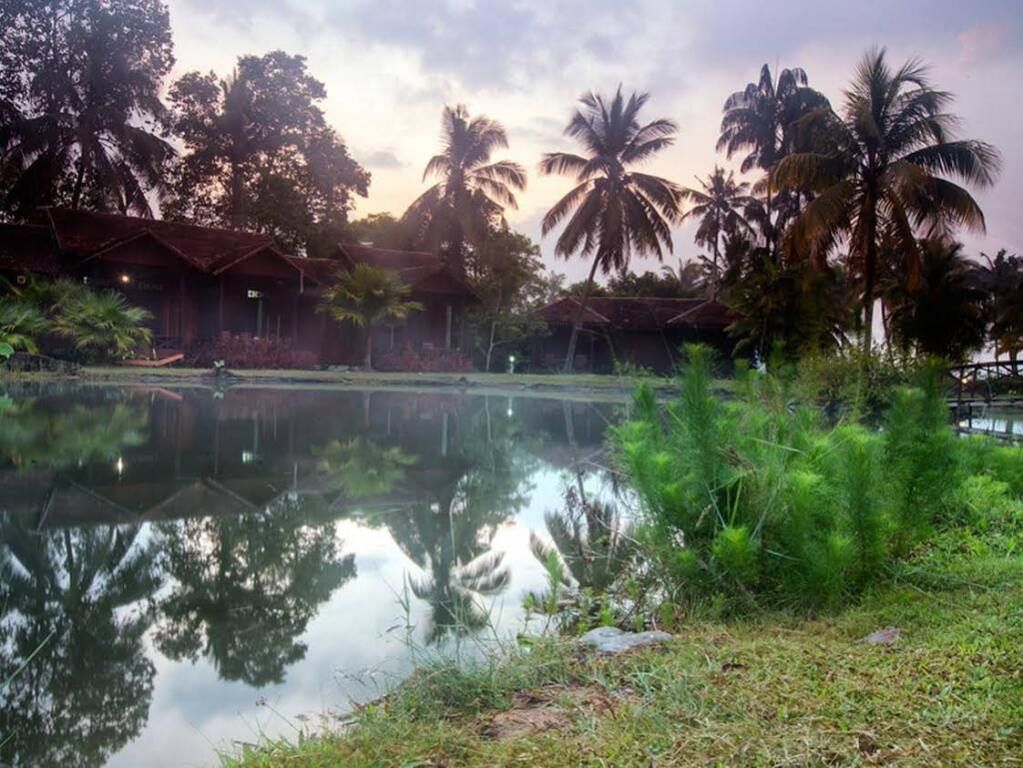 المظهر الخارجي