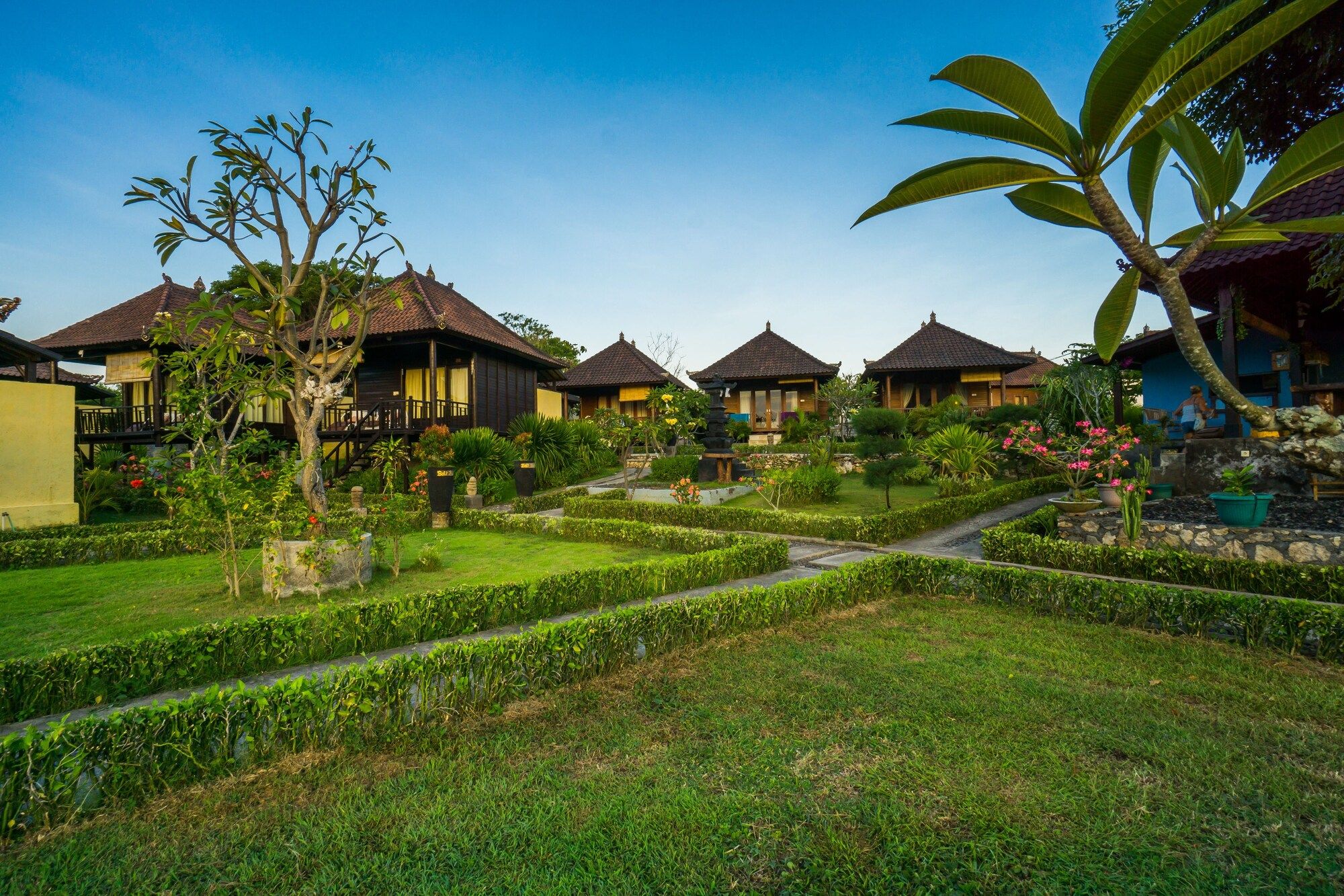 المظهر الخارجي