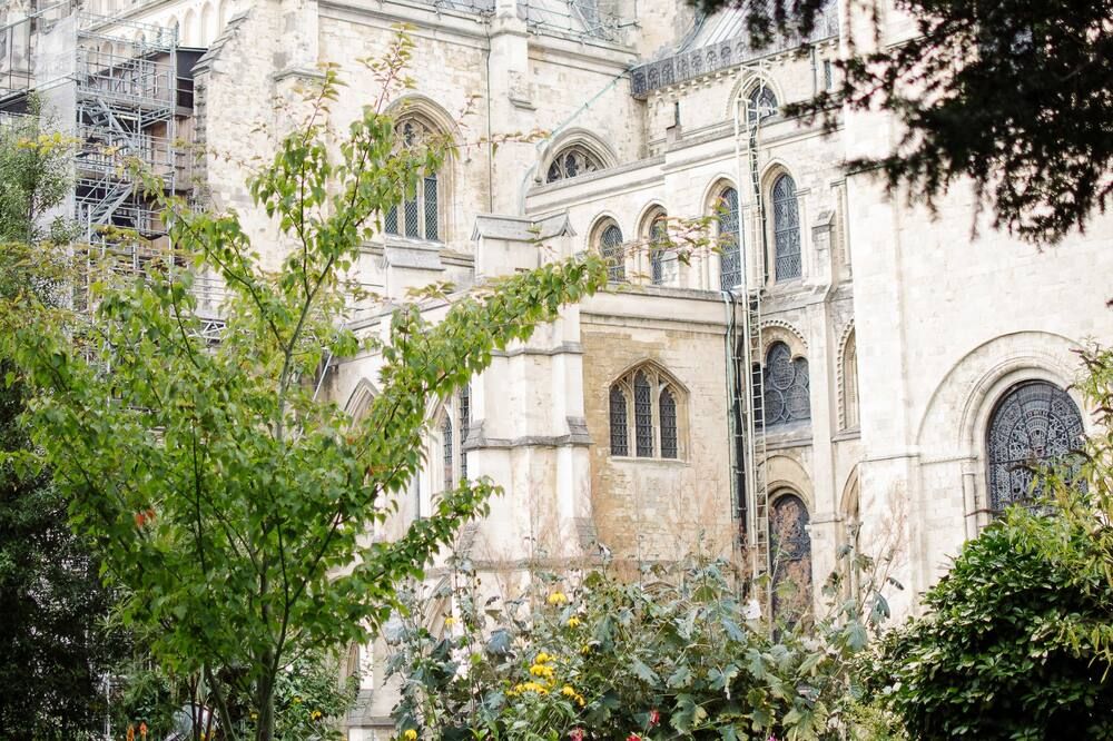 المظهر الخارجي