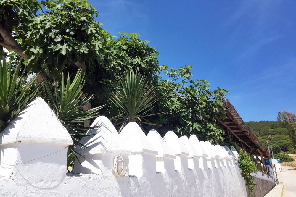 المظهر الخارجي