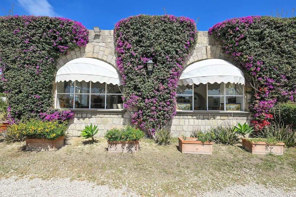 المظهر الخارجي