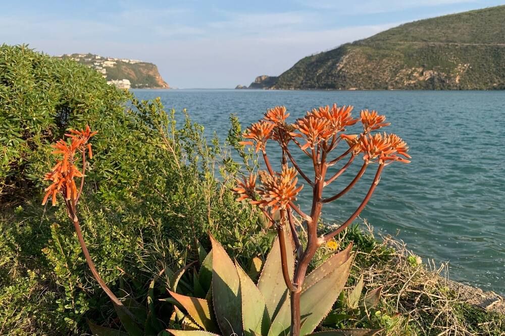 المظهر الخارجي