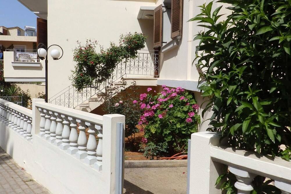 المظهر الخارجي