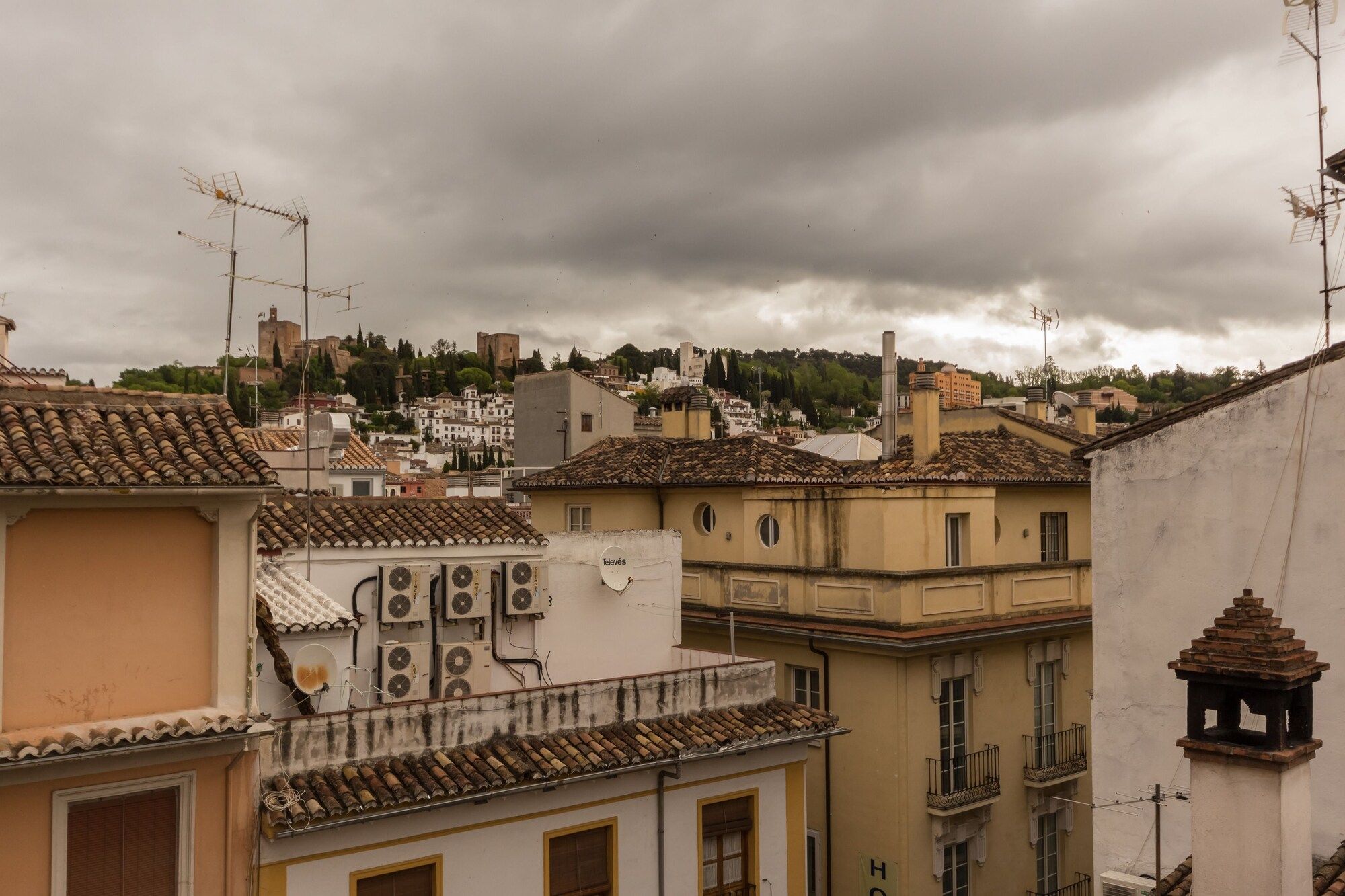 المظهر الخارجي