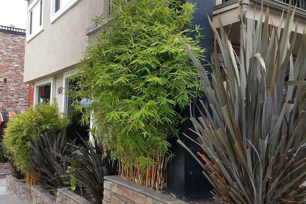 المظهر الخارجي