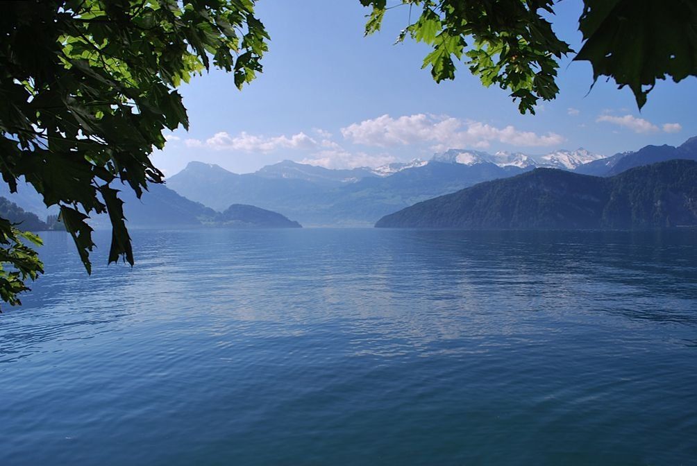 المظهر الخارجي