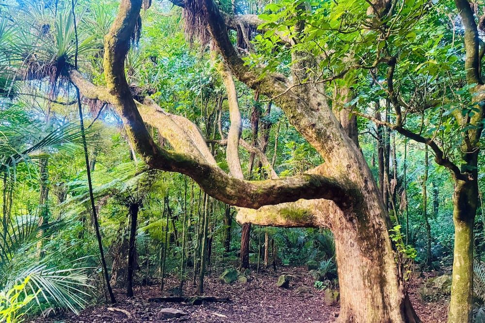 المظهر الخارجي