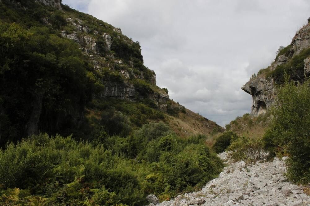 المظهر الخارجي