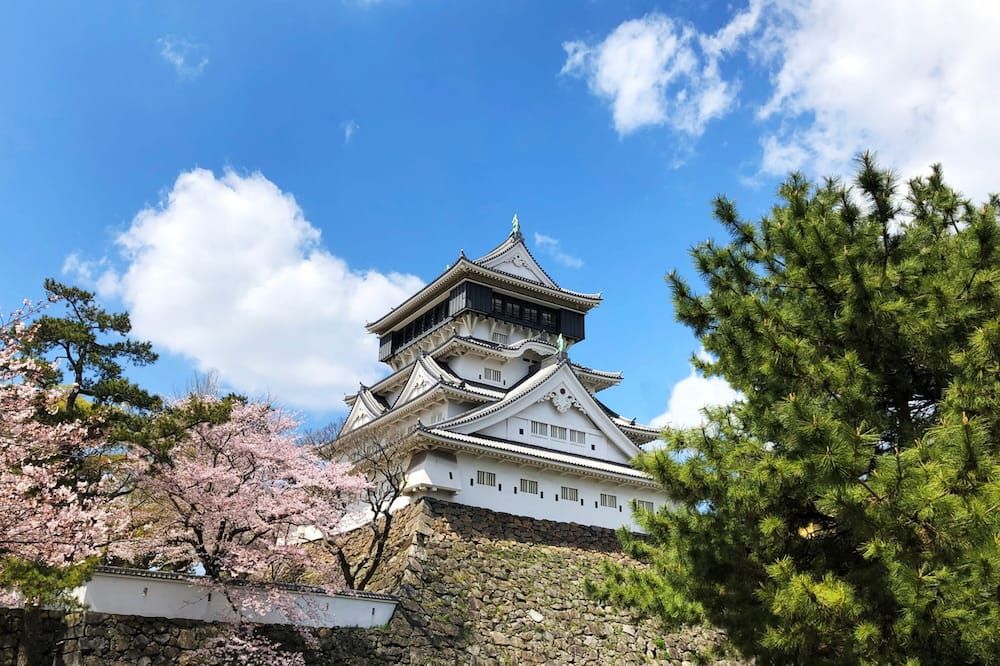 المظهر الخارجي