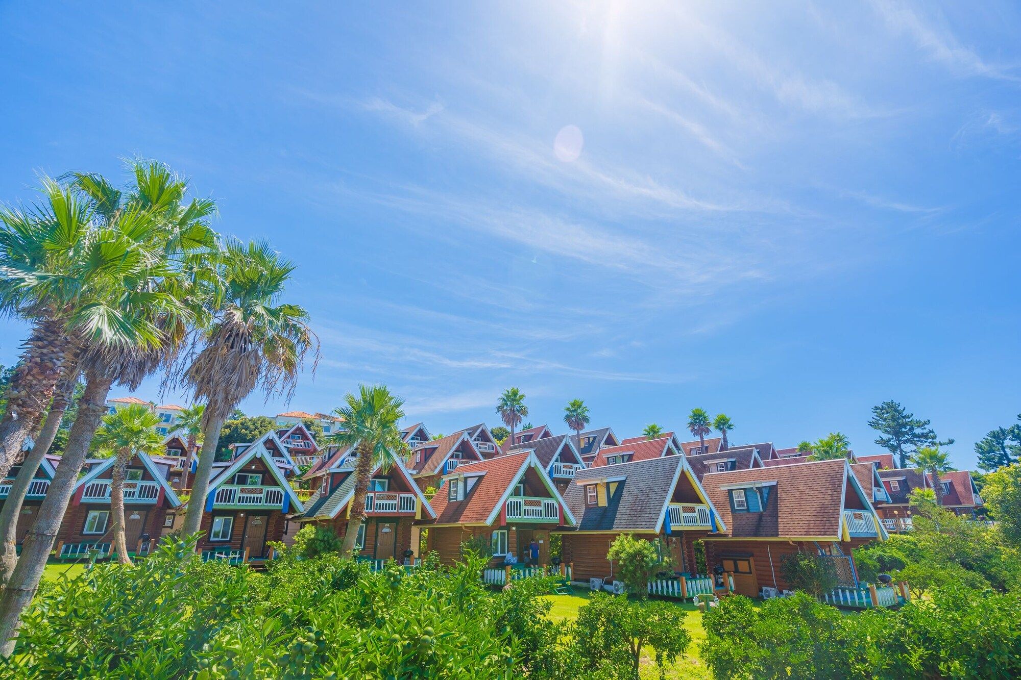 المظهر الخارجي