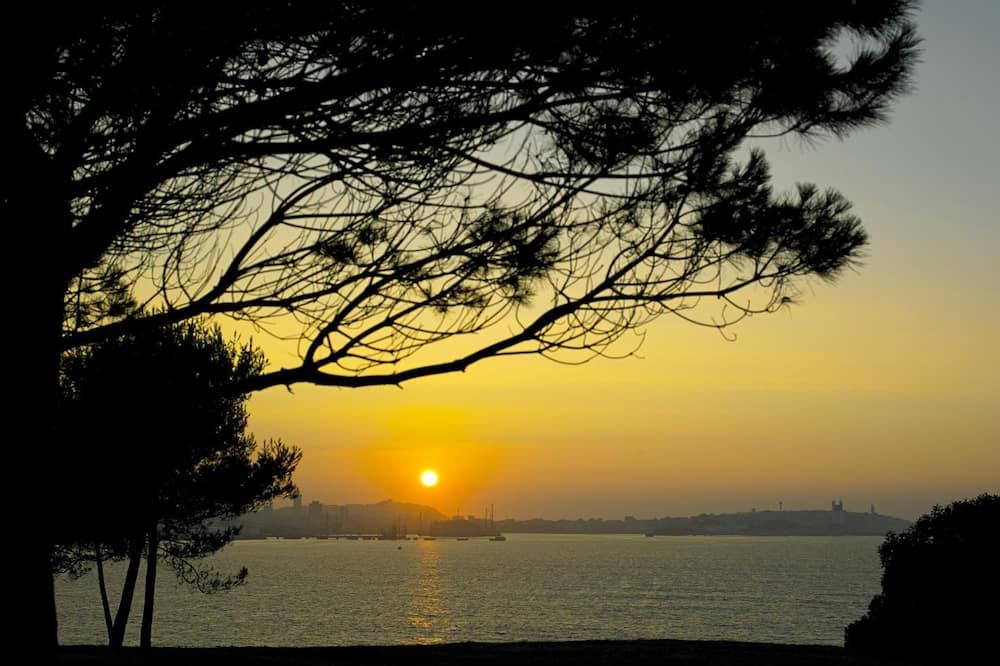 المظهر الخارجي