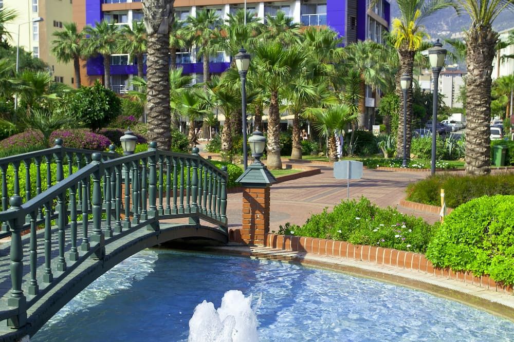 المظهر الخارجي