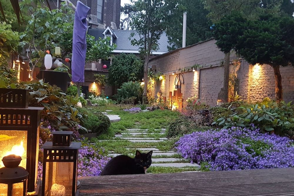 المظهر الخارجي