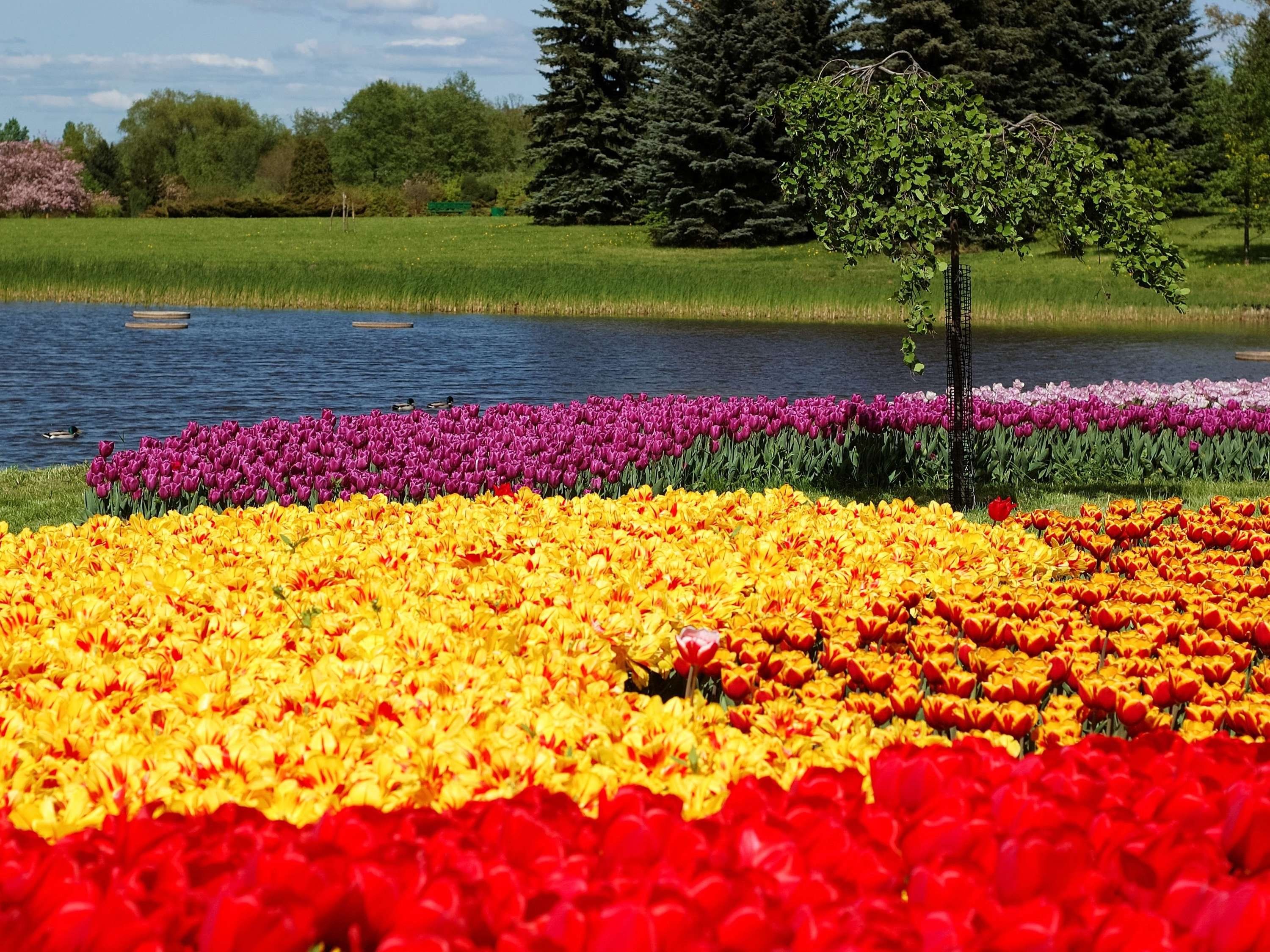 المظهر الخارجي