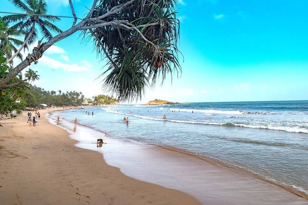 شاطئ