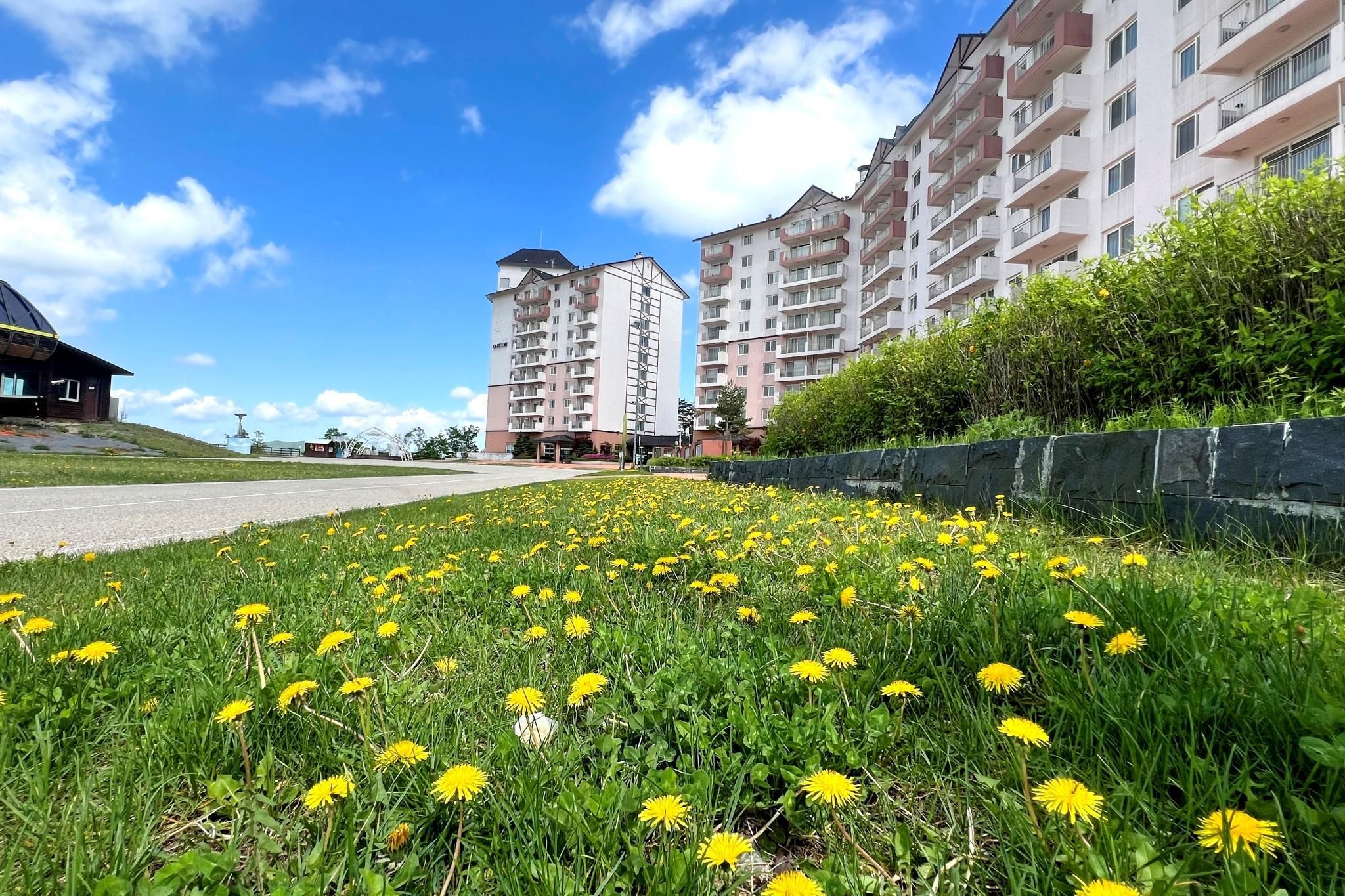 المظهر الخارجي