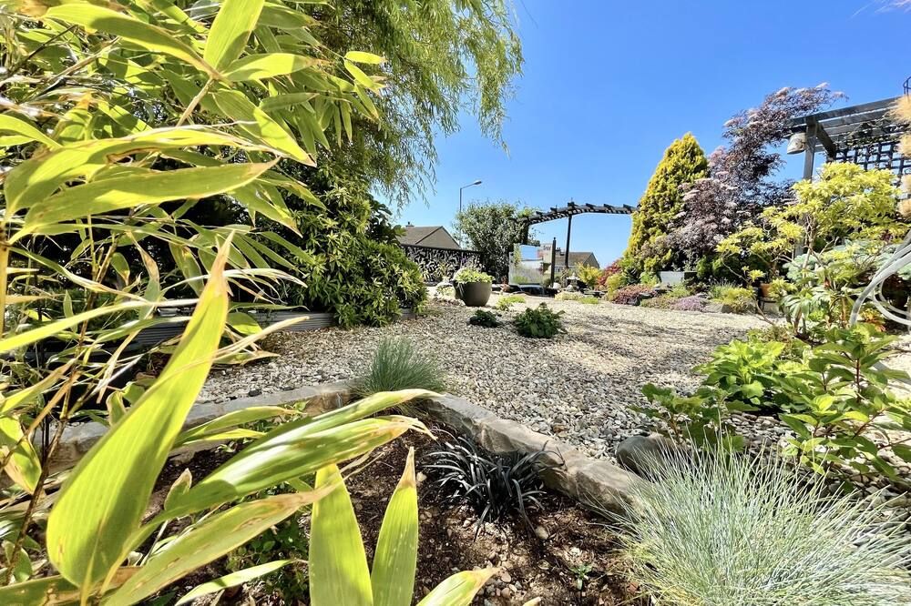 المظهر الخارجي