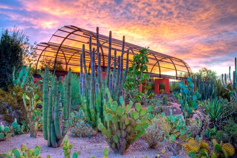 المظهر الخارجي