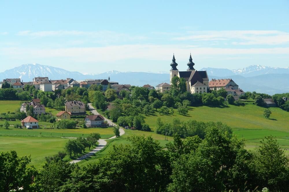 المظهر الخارجي