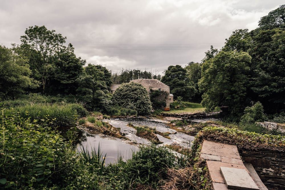 المظهر الخارجي