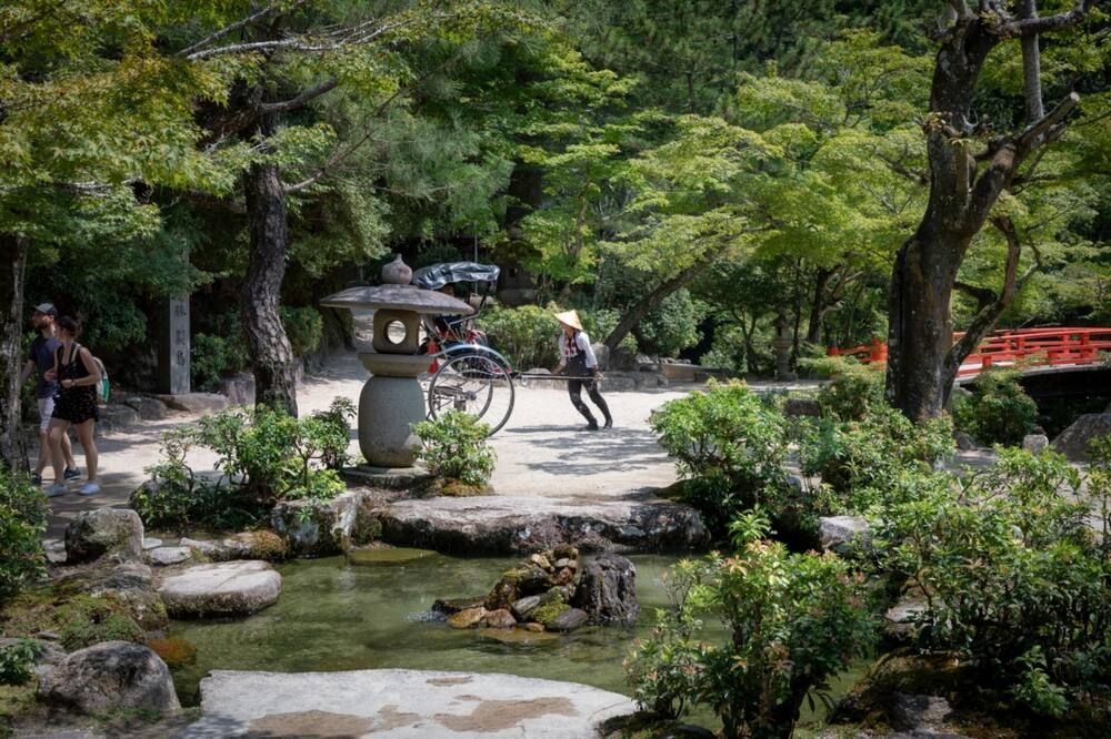 المظهر الخارجي