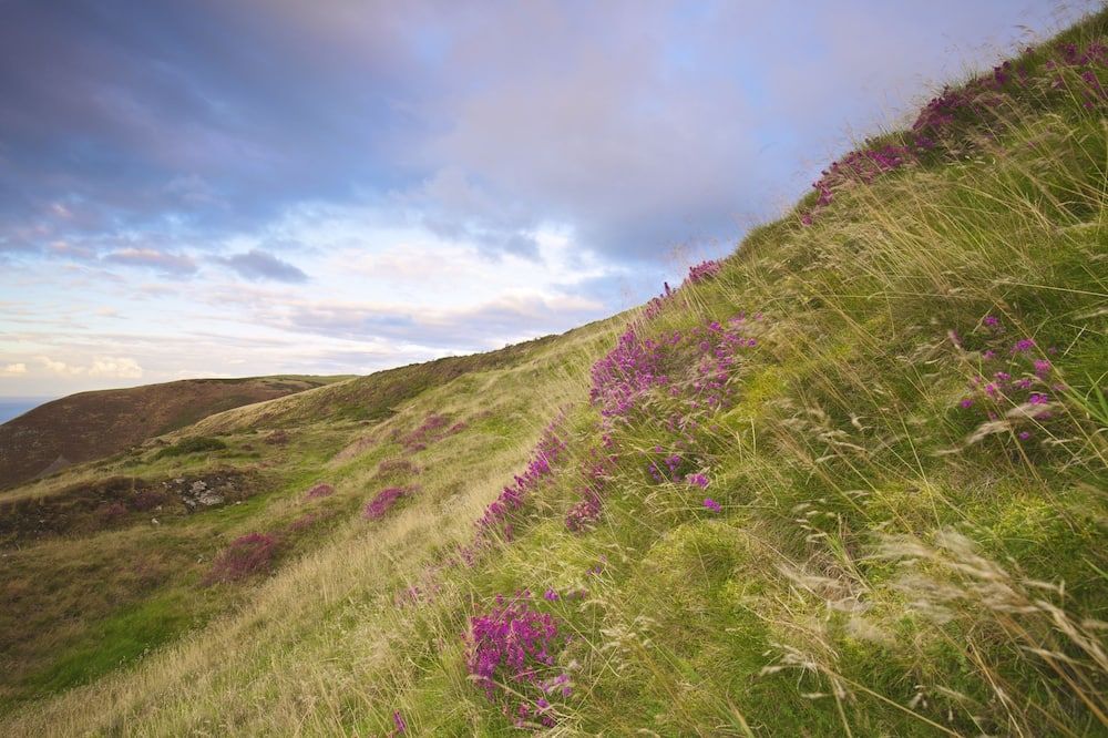 المظهر الخارجي