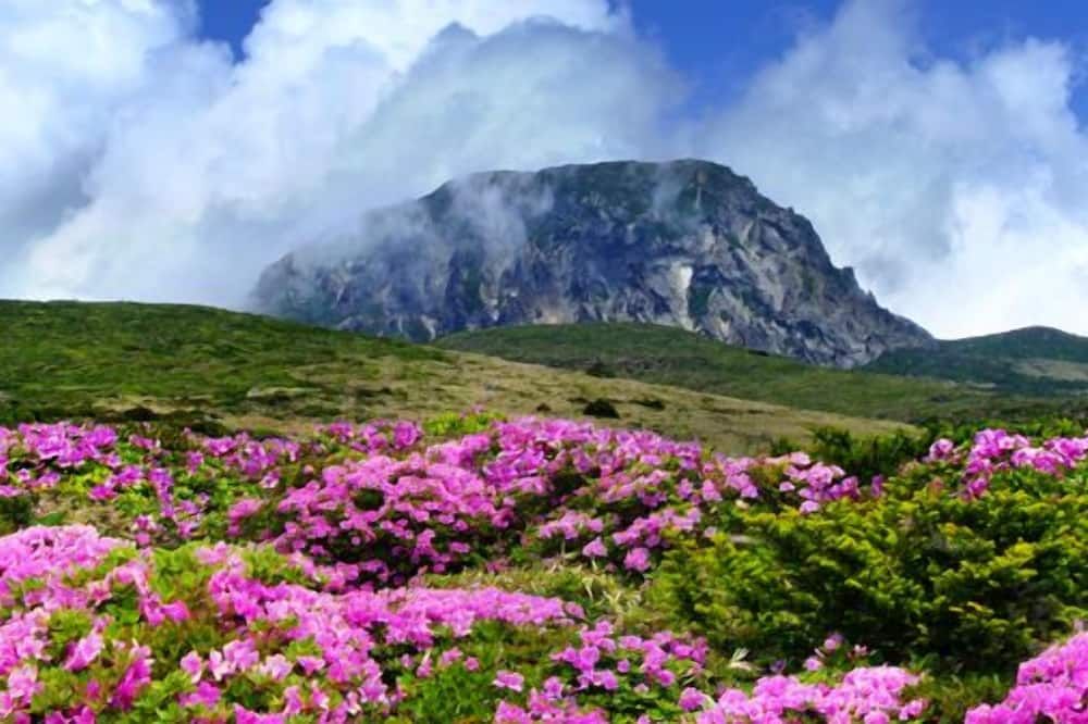 المظهر الخارجي