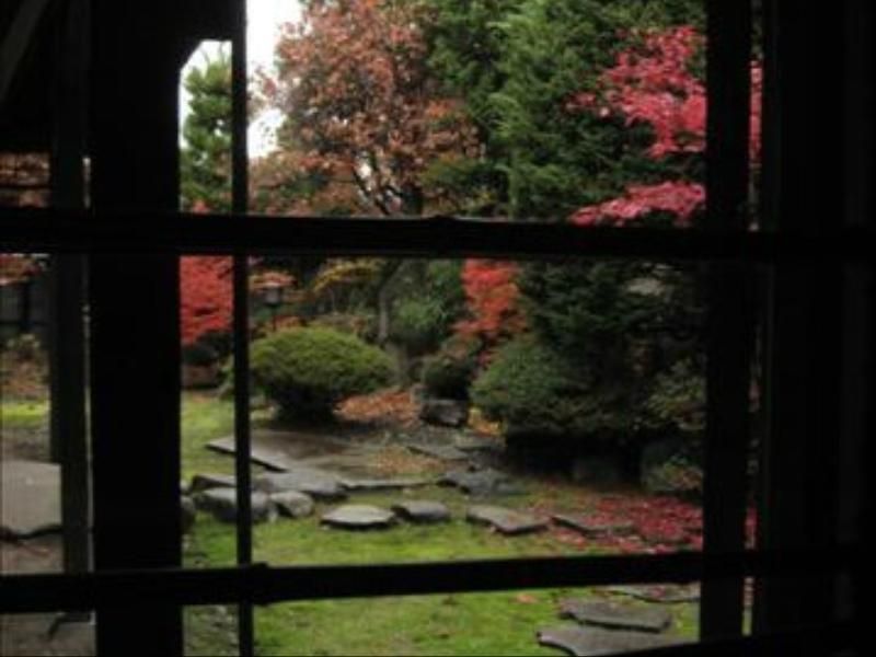 المظهر الخارجي