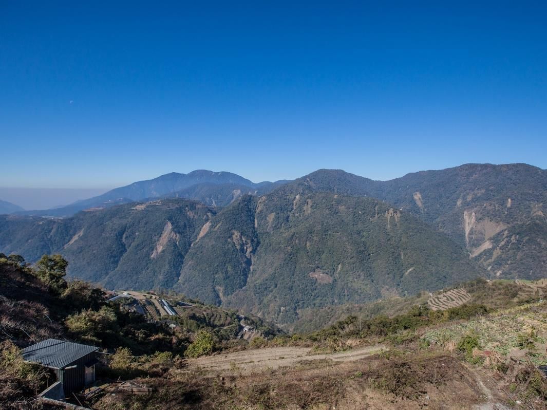 المظهر الخارجي