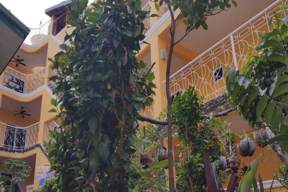المظهر الخارجي