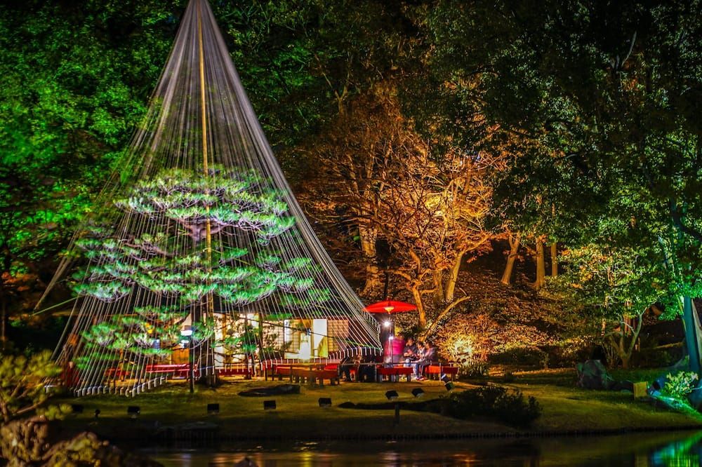 المظهر الخارجي