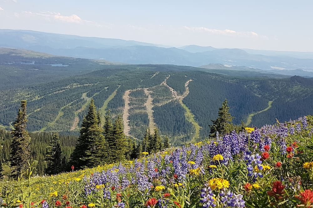 المظهر الخارجي