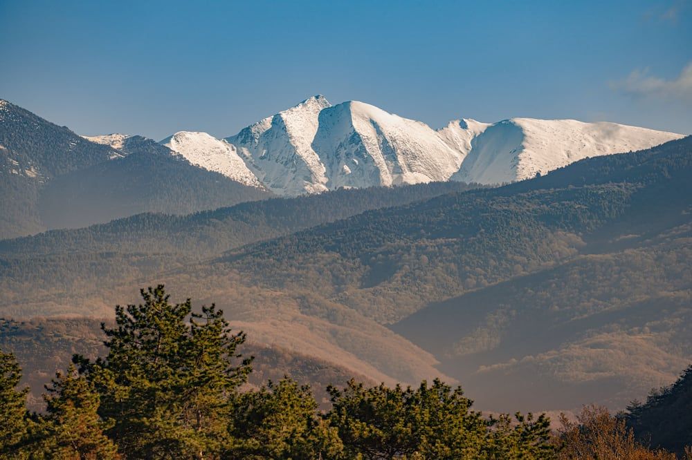 المظهر الخارجي