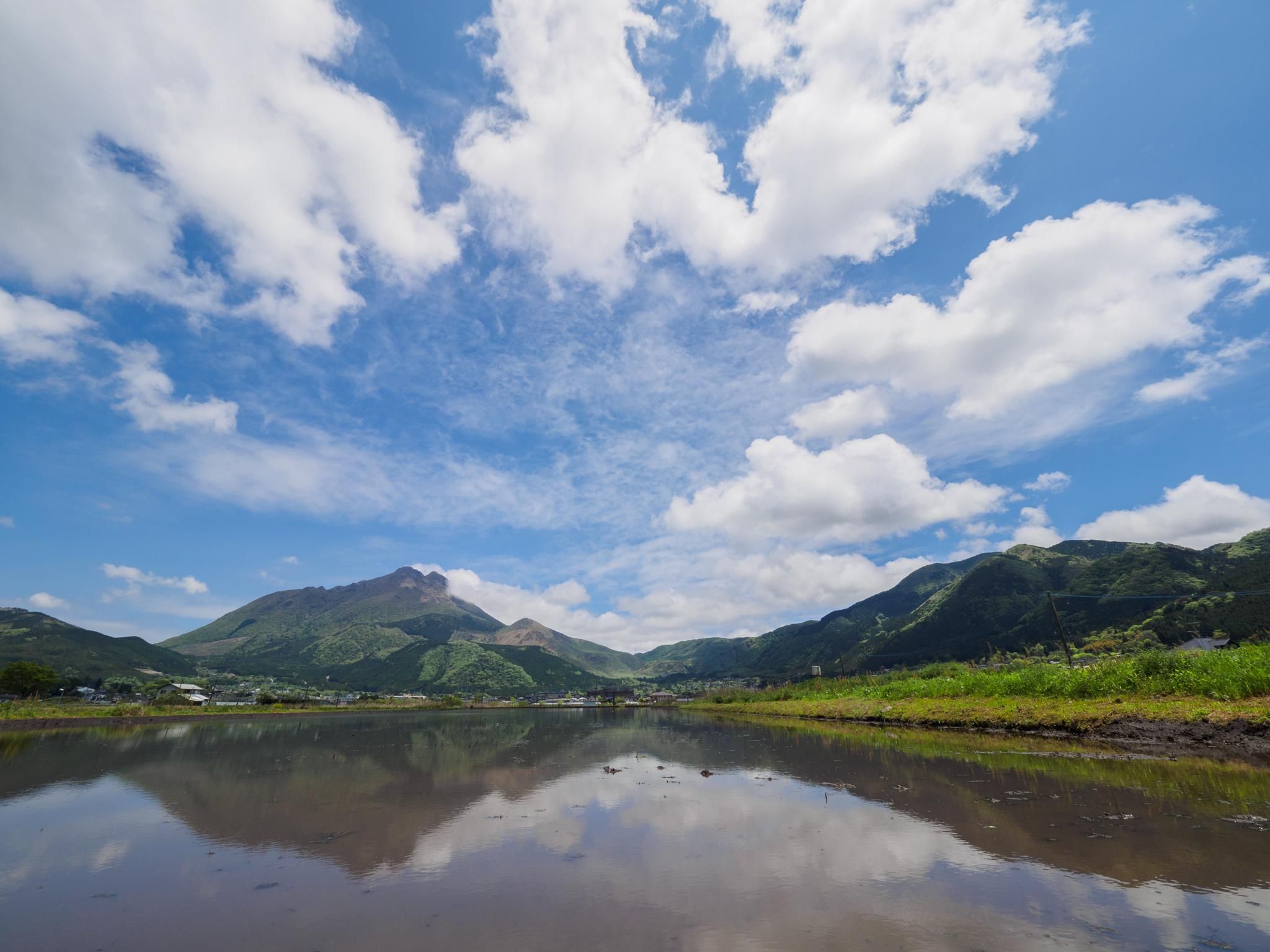المظهر الخارجي