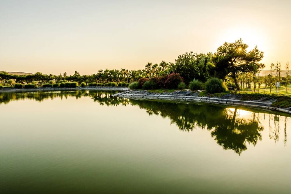 المظهر الخارجي