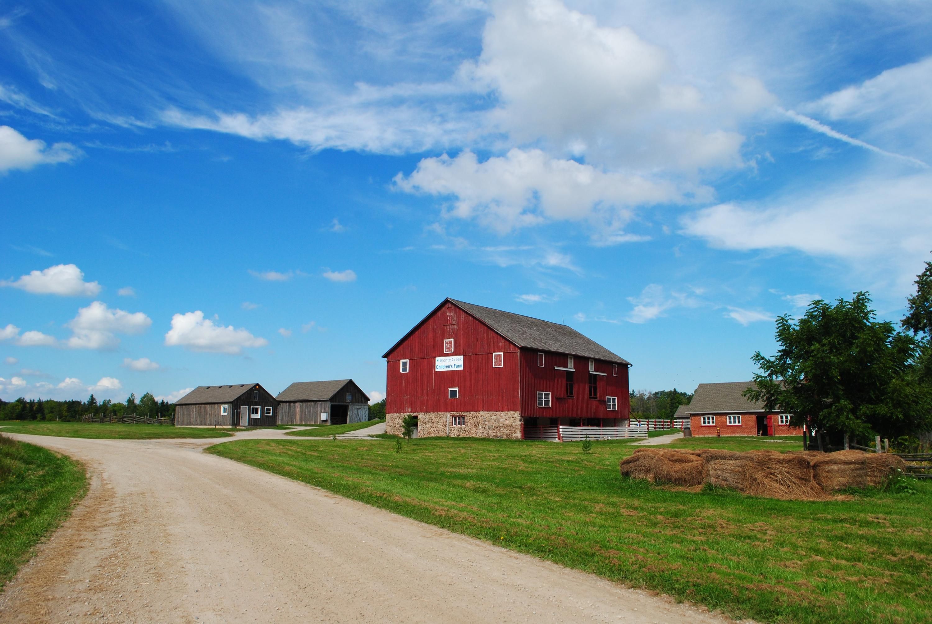 المظهر الخارجي